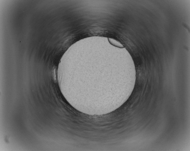 X0000097770042200804041202