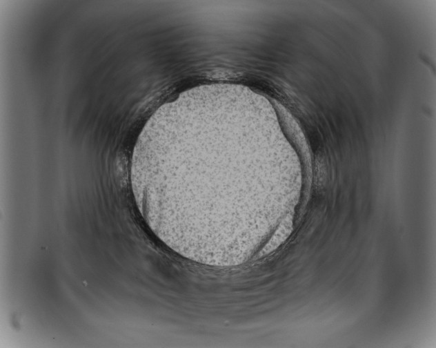 X0000097770043200804041202