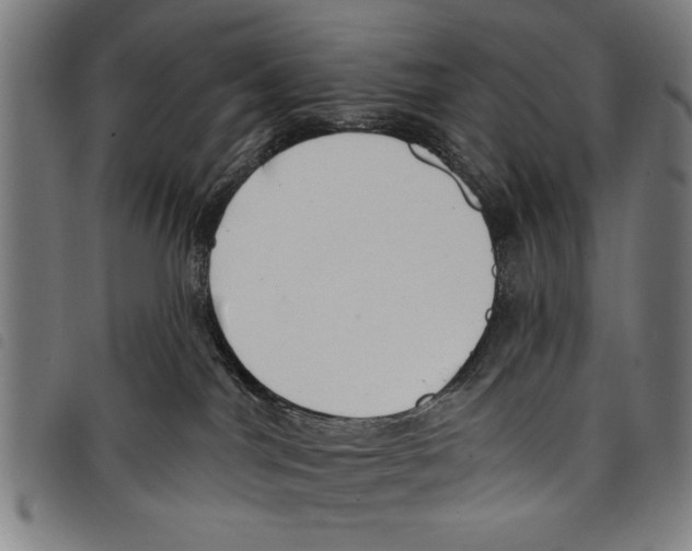 X0000097770044200804041202