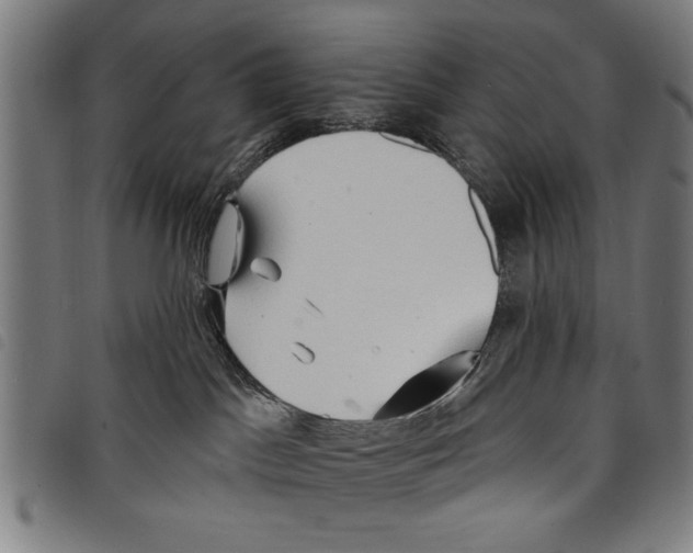X0000097770045200804041202