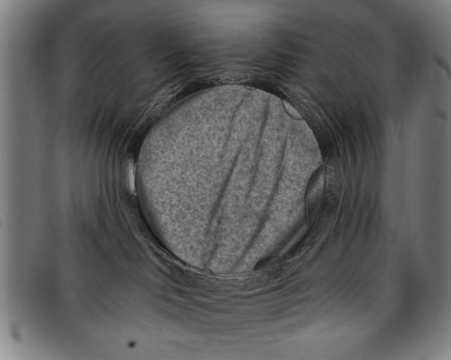 X0000097770046200804041202