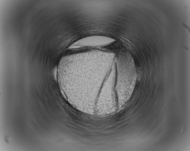 X0000097770047200804041202