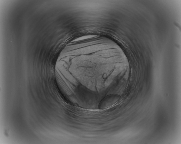 X0000097770048200804041202