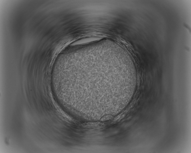 X0000097770049200804041201