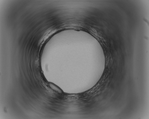 X0000097770050200804041201