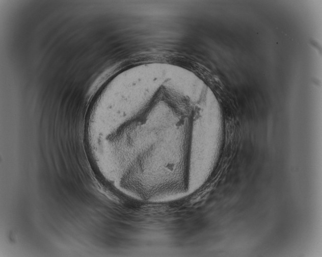 X0000097770051200804041201