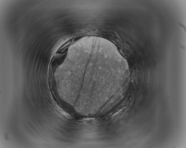 X0000097770052200804041201
