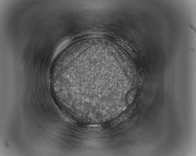 X0000097770053200804041201