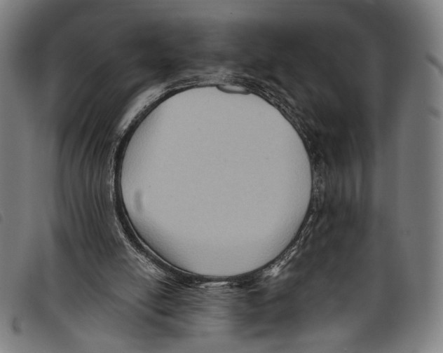 X0000097770054200804041201