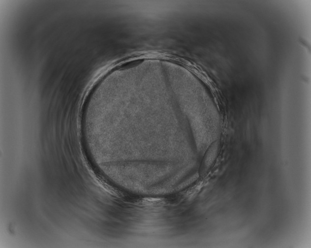 X0000097770055200804041201