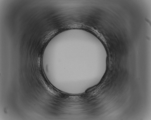 X0000097770057200804041201