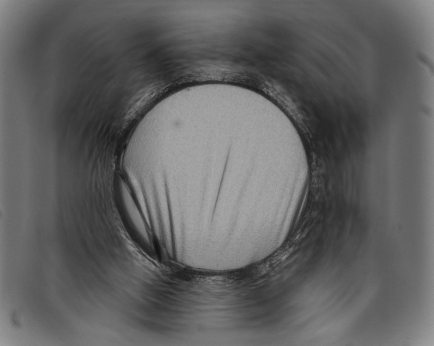 X0000097770058200804041201