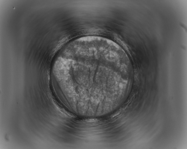 X0000097770059200804041201