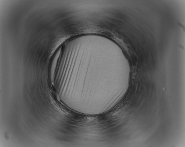 X0000097770060200804041201