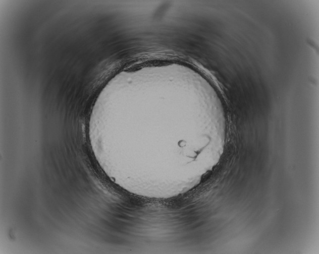 X0000097770061200804041201