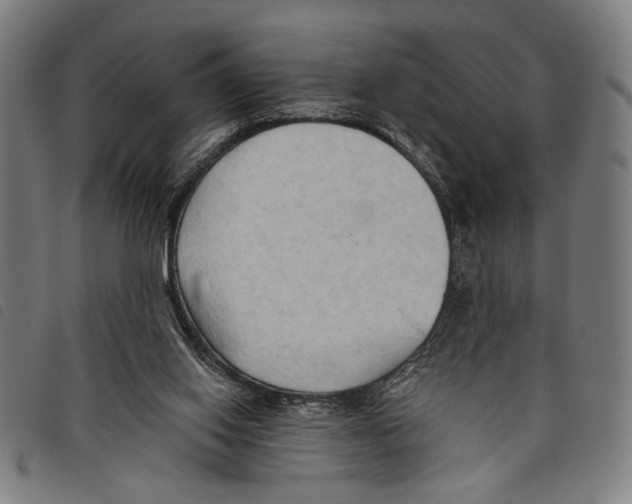 X0000097770062200804041201