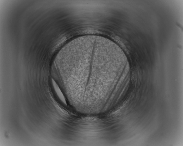 X0000097770063200804041201