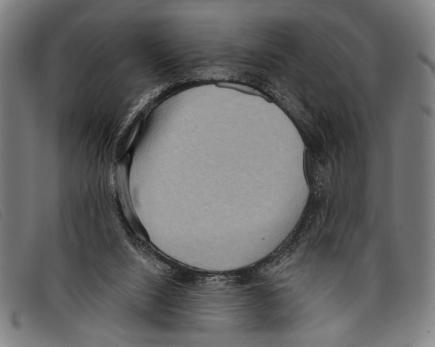 X0000097770064200804041201