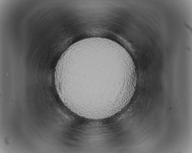 X0000097770065200804041201