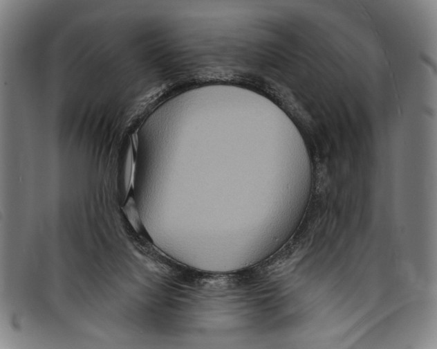 X0000097770068200804041201