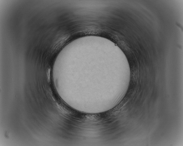 X0000097770070200804041201