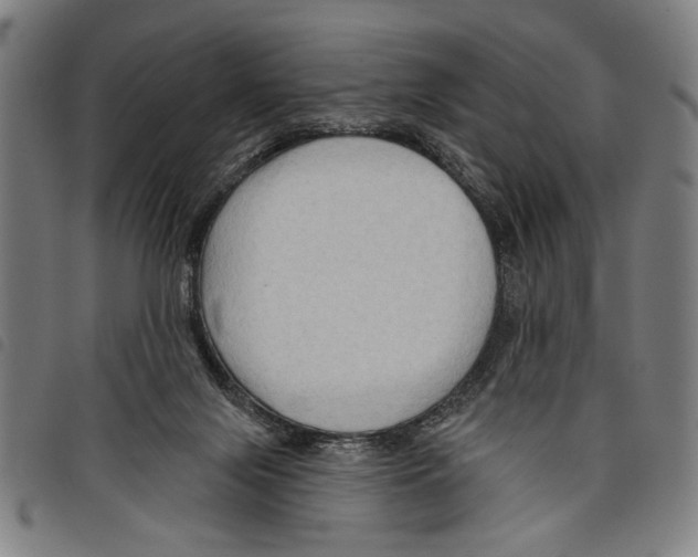 X0000097770071200804041201