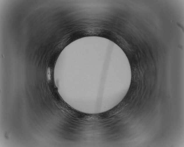 X0000097770075200804041201