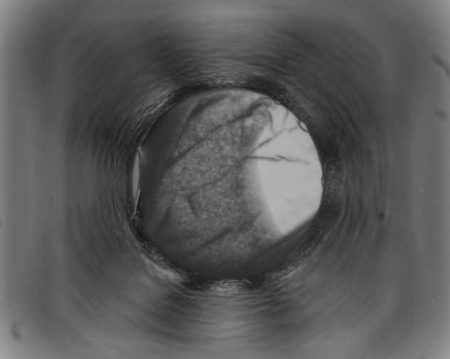 X0000097770076200804041201