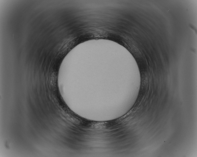 X0000097770078200804041201
