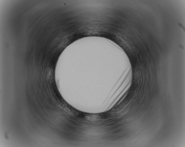 X0000097770079200804041201