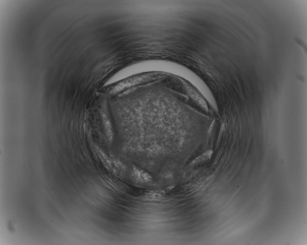 X0000097770080200804041201