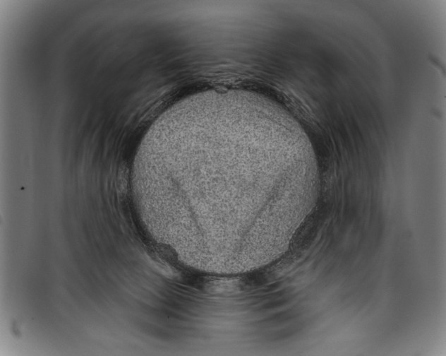 X0000097770081200804041201