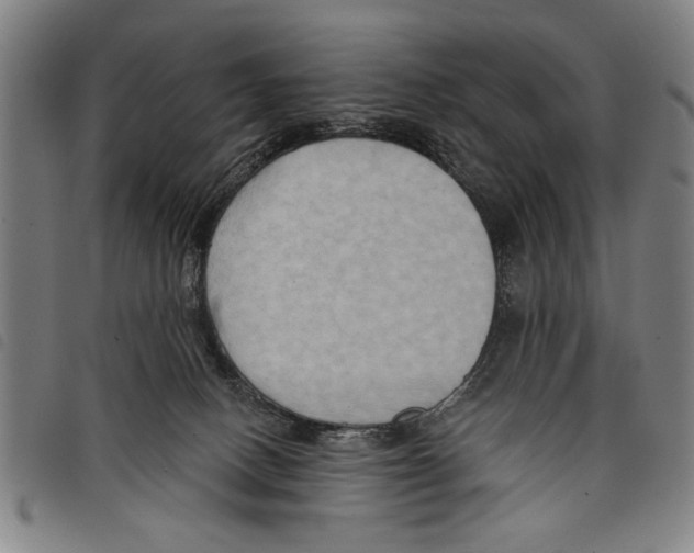 X0000097770082200804041201