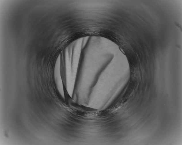 X0000097770084200804041201