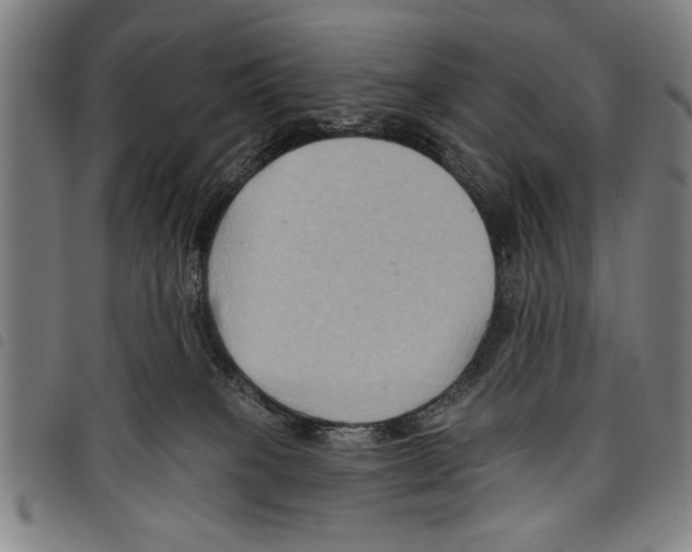 X0000097770085200804041201