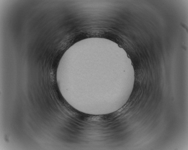 X0000097770086200804041201