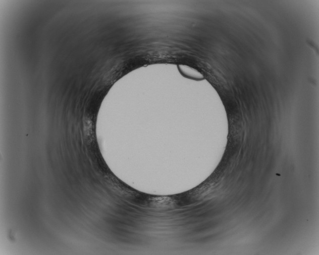 X0000097770087200804041201