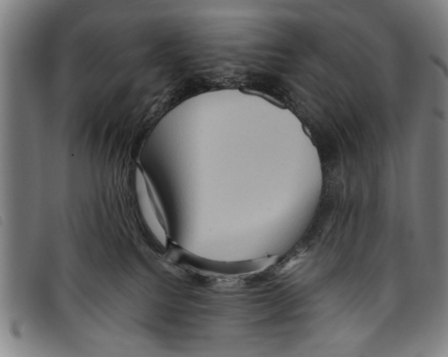 X0000097770088200804041201