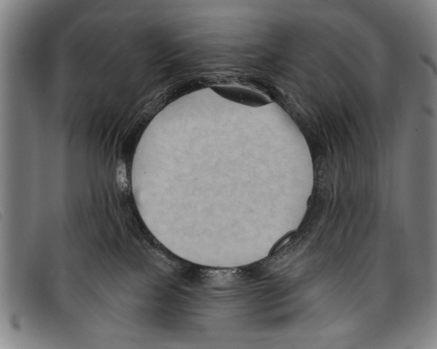 X0000097770089200804041201
