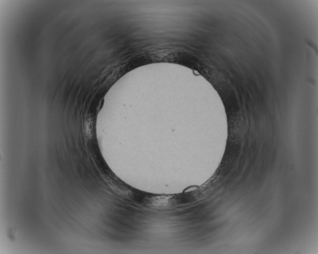 X0000097770090200804041201