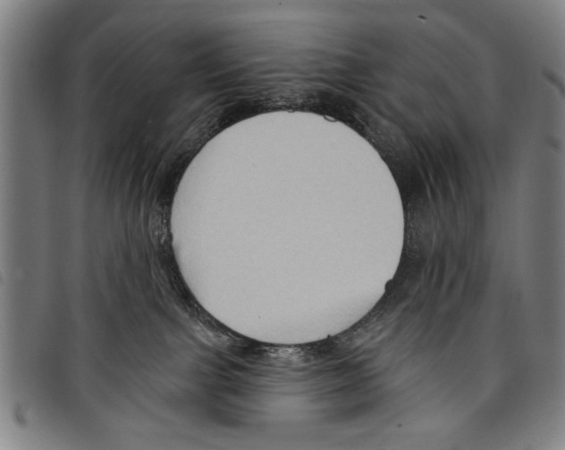 X0000097770091200804041202