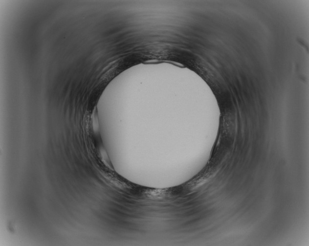X0000097770092200804041202