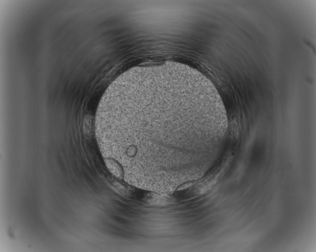 X0000097770093200804041202