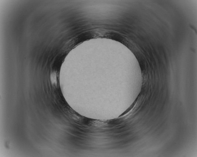 X0000097770094200804041202