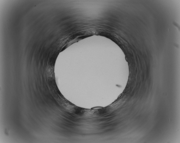 X0000097770096200804041202