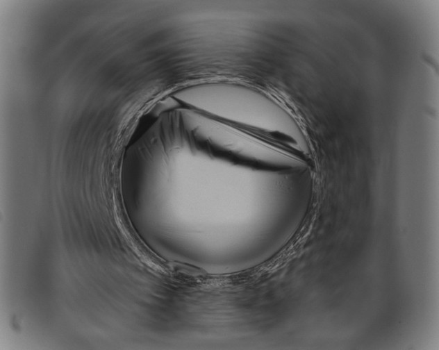 X0000097770097200804041201