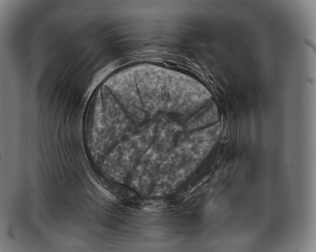 X0000097770099200804041201