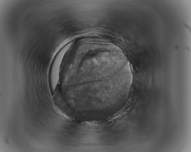 X0000097770100200804041201