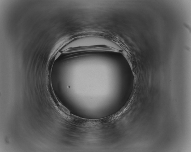 X0000097770101200804041201