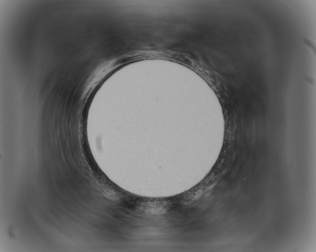 X0000097770103200804041201